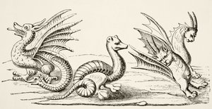 Drachen (nach Miniaturen im 